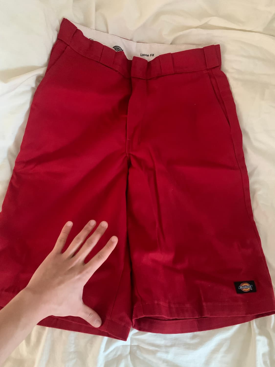 (32) 디키즈 42283 상품이미지2