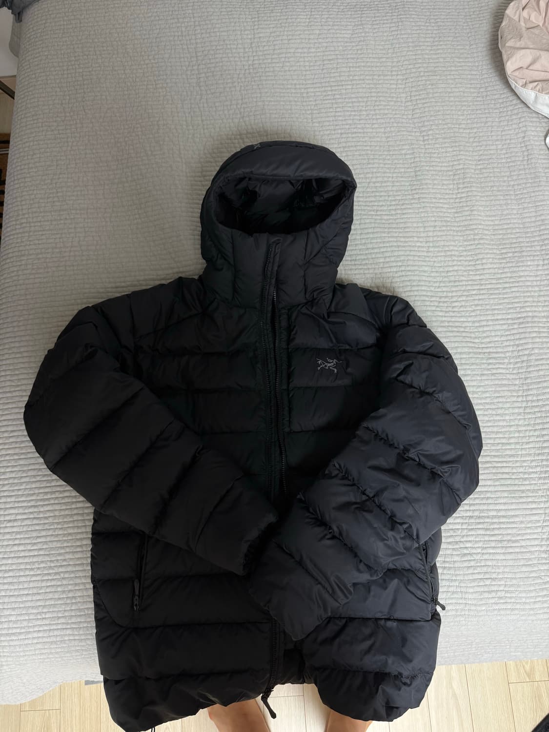 아크테릭스 토륨 후디 L 상품이미지1