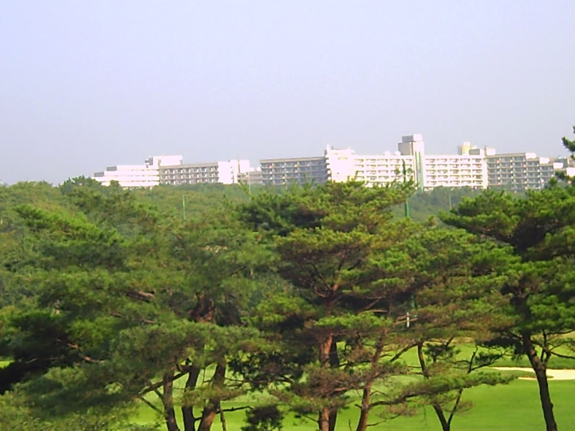 캐논 PowerShot SD630/ 익서스 65  디카 (빈티지 카메라) 상품이미지7