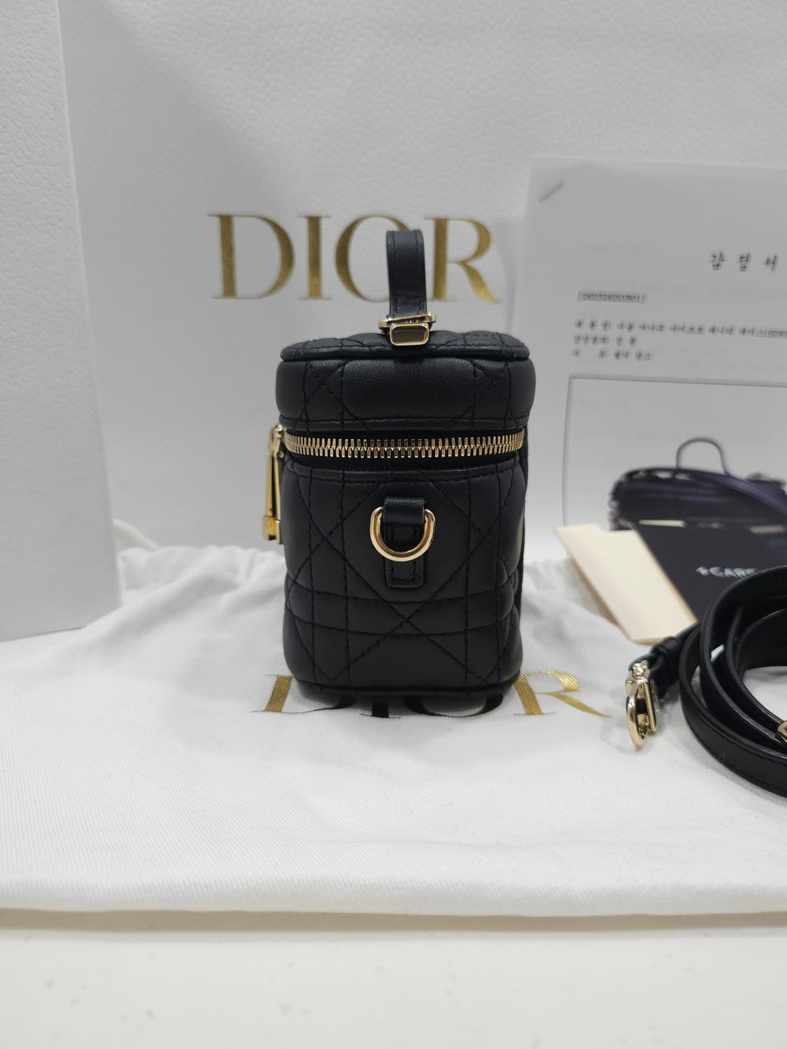 디올 레이디 마이크로 베니티백 상품이미지6