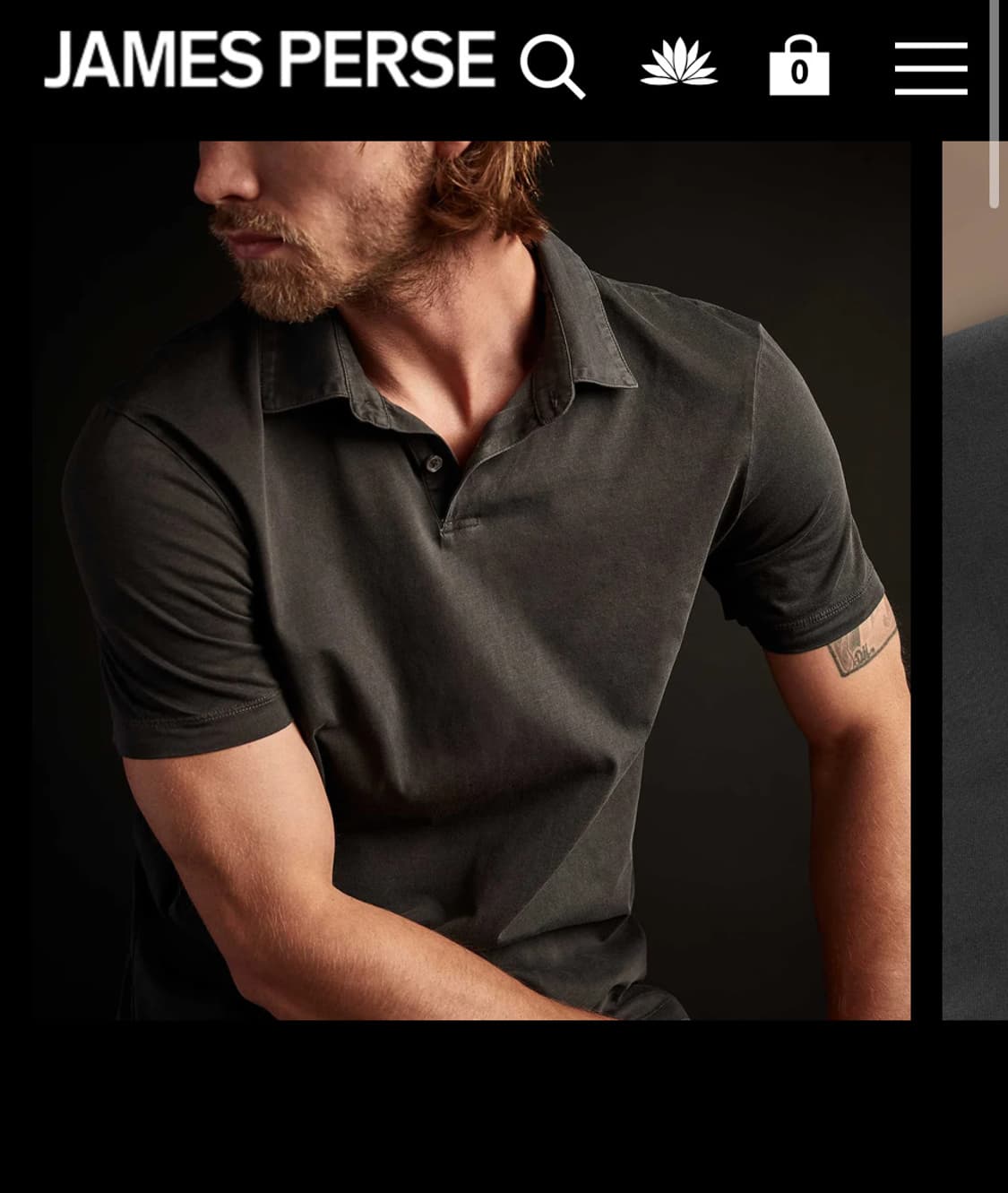 제임스 펄스 카라티 상품이미지1