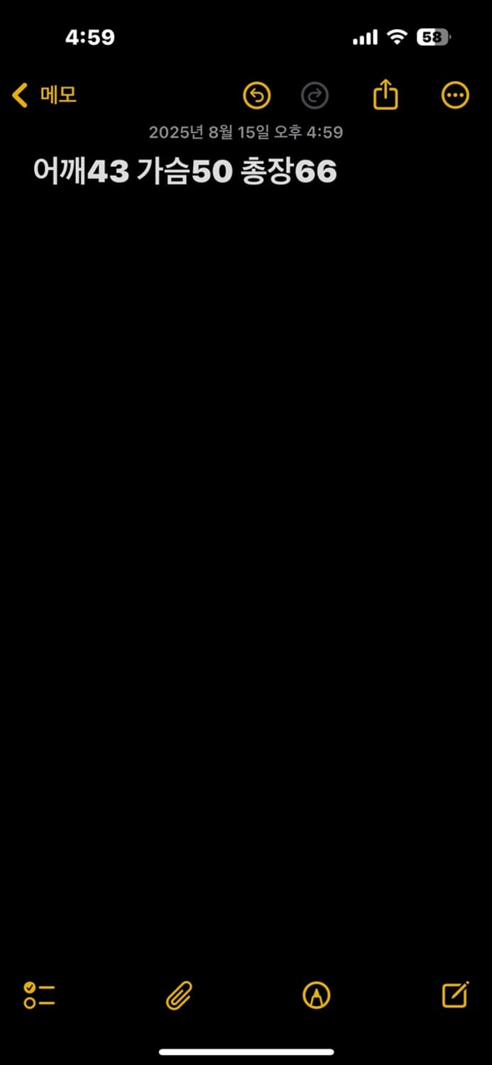 나이키 그린 져지 상품이미지5