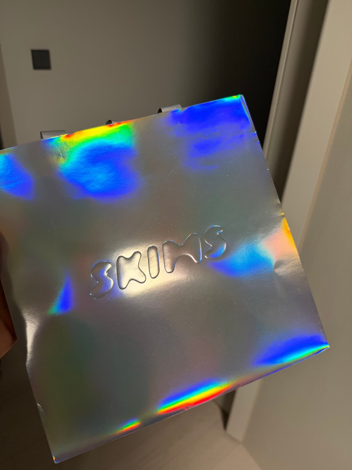 스킴스 * 노스페이스 1996 눕시 베스트 상품이미지2