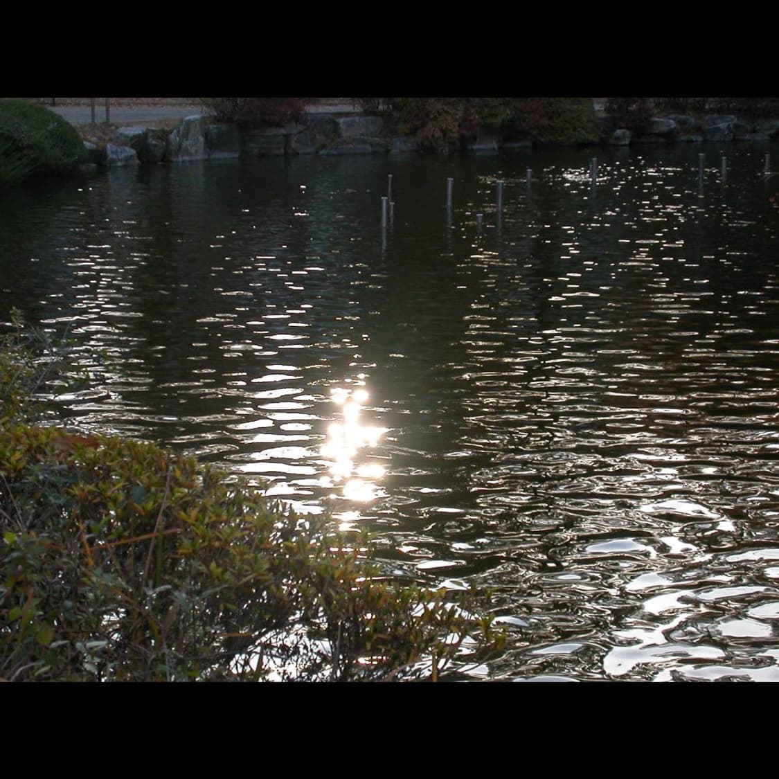 니콘 쿨픽스 2500 메탈릭 실버블루⌚황조지 카메라 빈티지 티카 상품이미지10