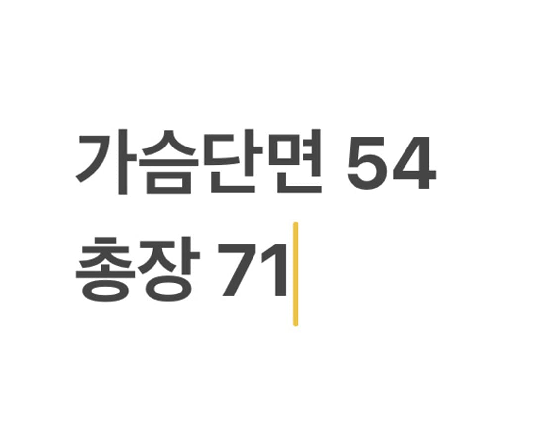  폴로랄프로렌 오렌지 체크 셔츠 상품이미지4