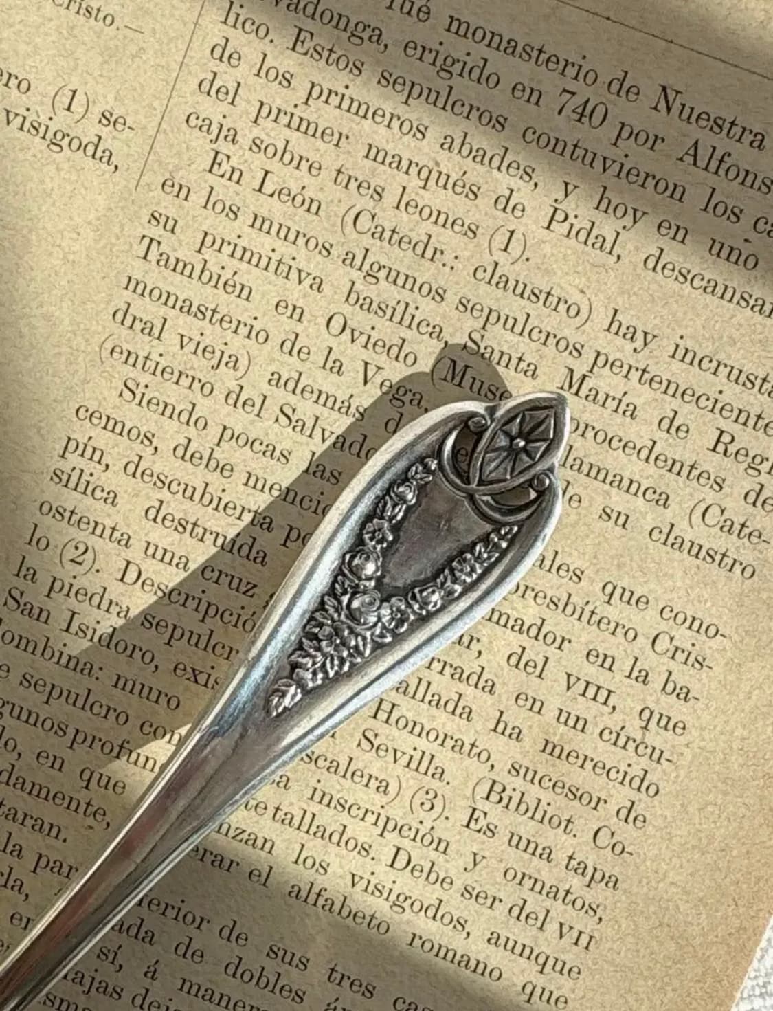 1847 Rogers Bros. 실버플레이트 아르누보 잼 스푼 상품이미지2