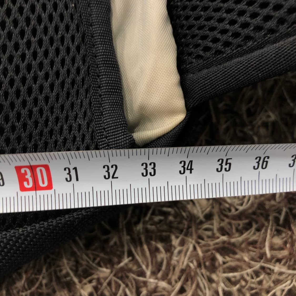 노스페이스 보래알리스 30L 백팩 상품이미지8