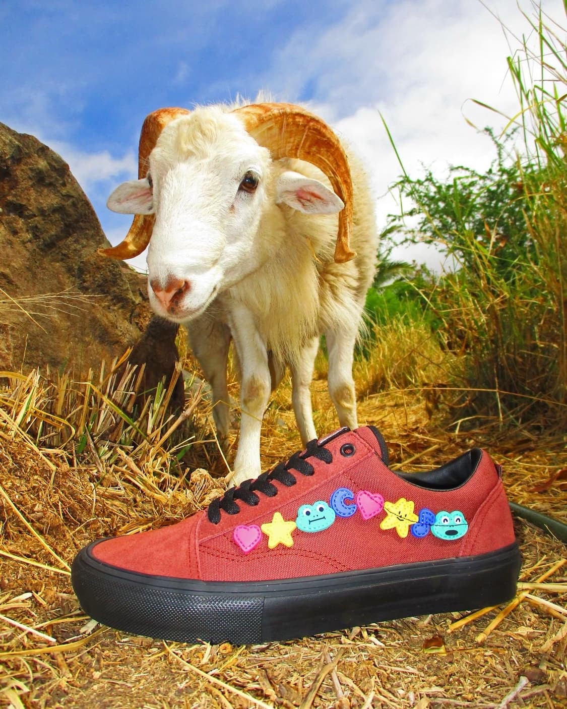 Vans 반스 x FROG 개구리 스케이트보드 올드스쿨 290 상품이미지9