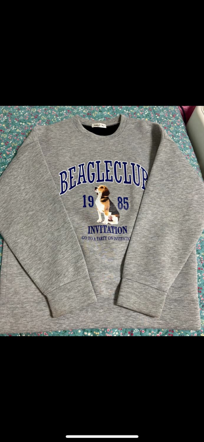 무신사 비글클럽 1985 강아지 맨투맨 그레이 상품이미지1