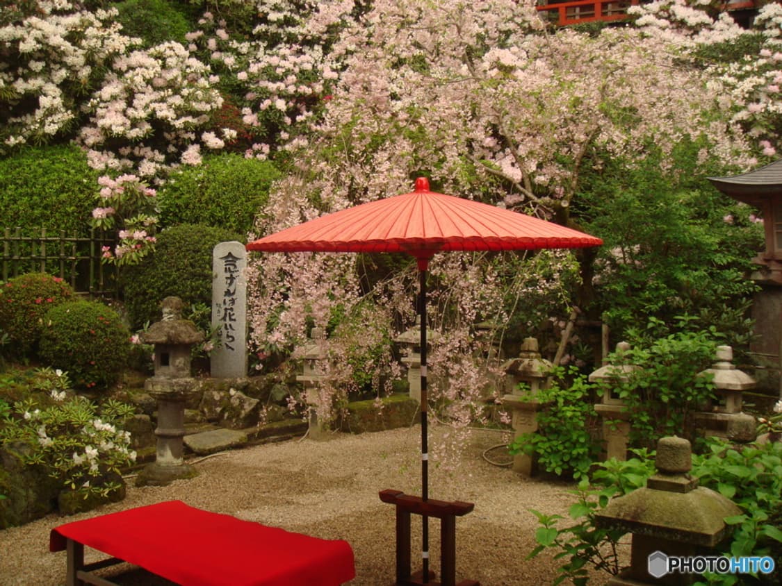 소니 사이버샷 SONY Cyber-shot DSC-T50 실버 상품이미지4