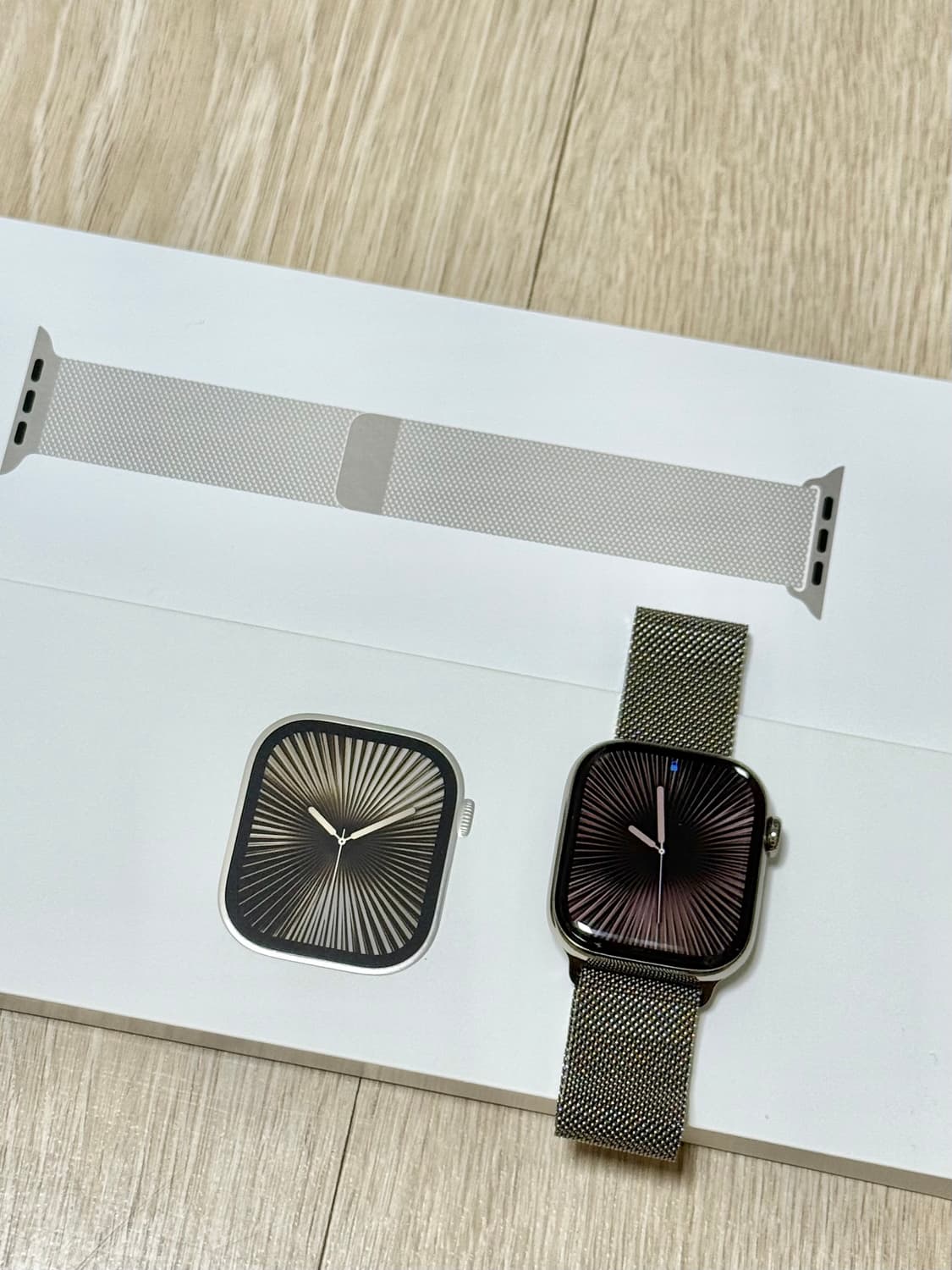 애플워치10 42mm 내추럴티타늄 셀룰러 + 밀레니즈 루프 상품이미지1