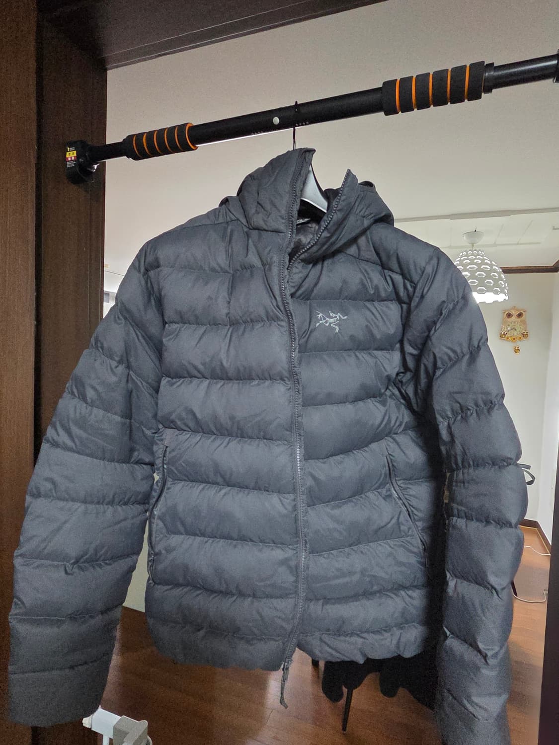 아크테릭스 토륨 AR 후디 남성 L 글리치색상 상품이미지1