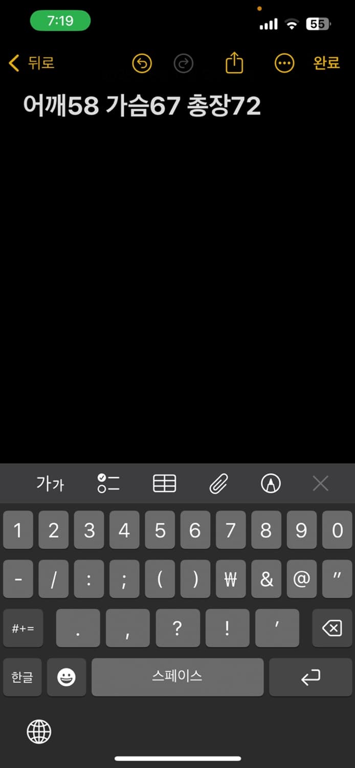 챔피온 맨투맨 상품이미지5