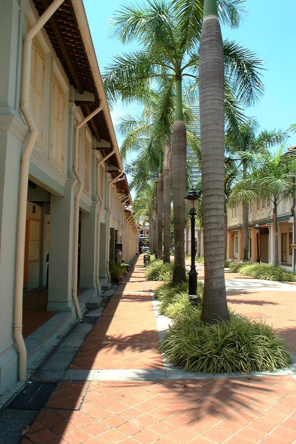 Ricoh Caplio CX3 (리코 카플리오 CX3) 상품이미지9