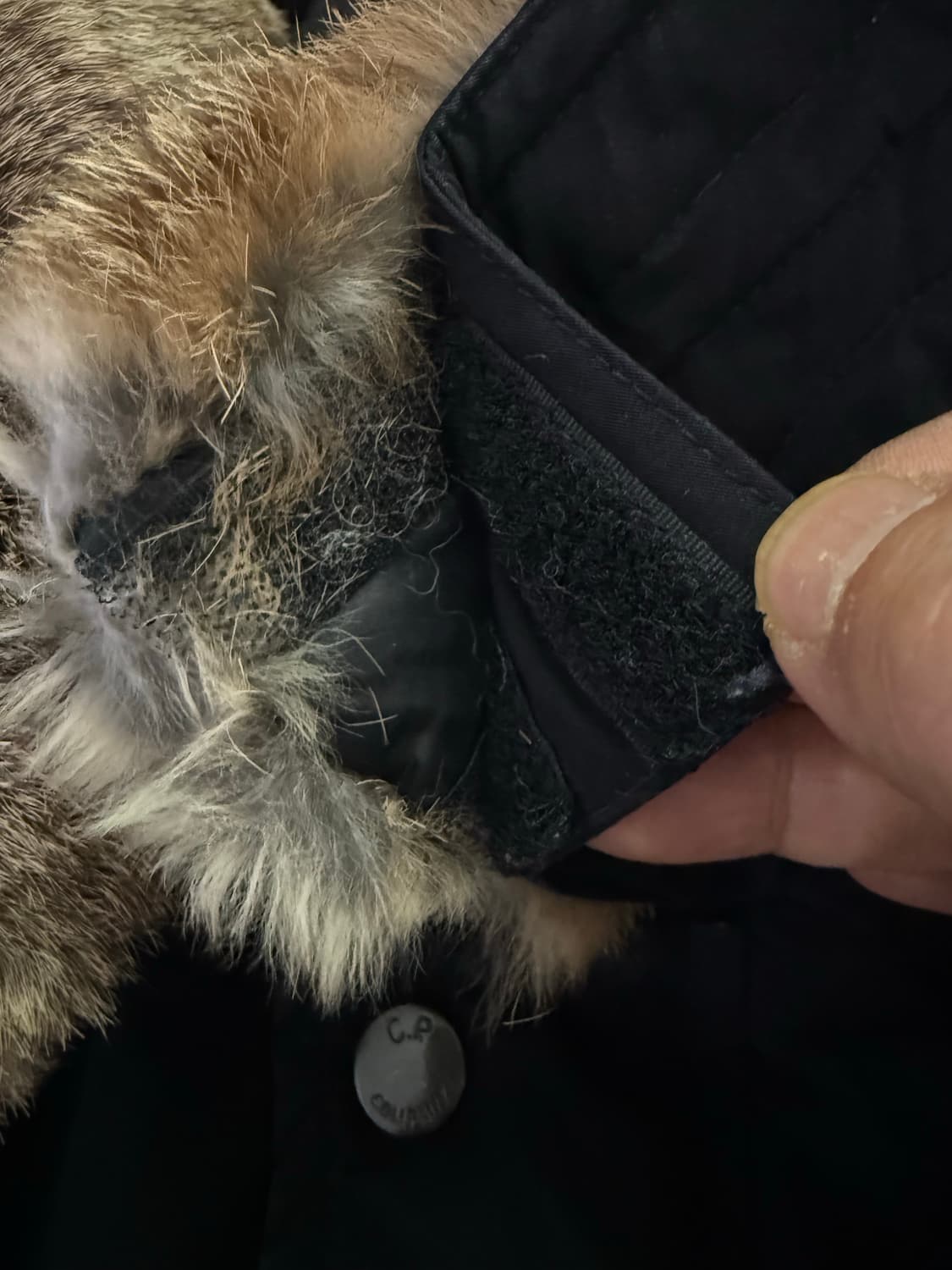 Cp컴퍼니 고글 토끼털 탈부착 노르지 덕다운 패딩 상품이미지8