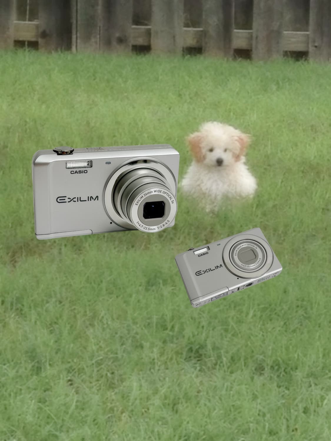 코르티스디카!) 카시오 엑슬림 zs5 Exilim 빈티지 디카 상품이미지1