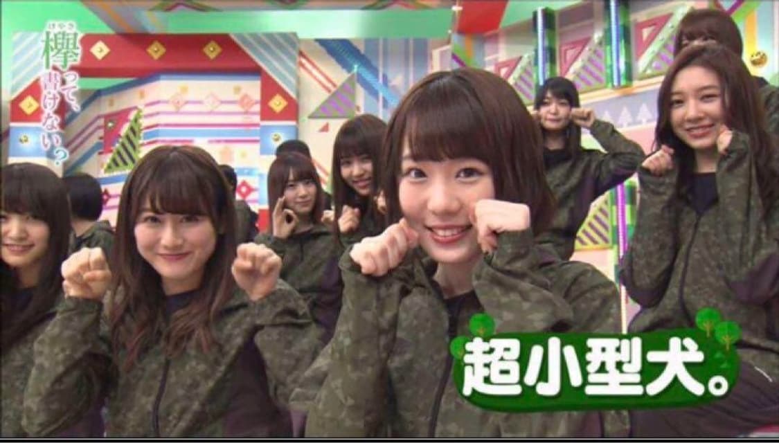 엄브로 바람막이 상품이미지1