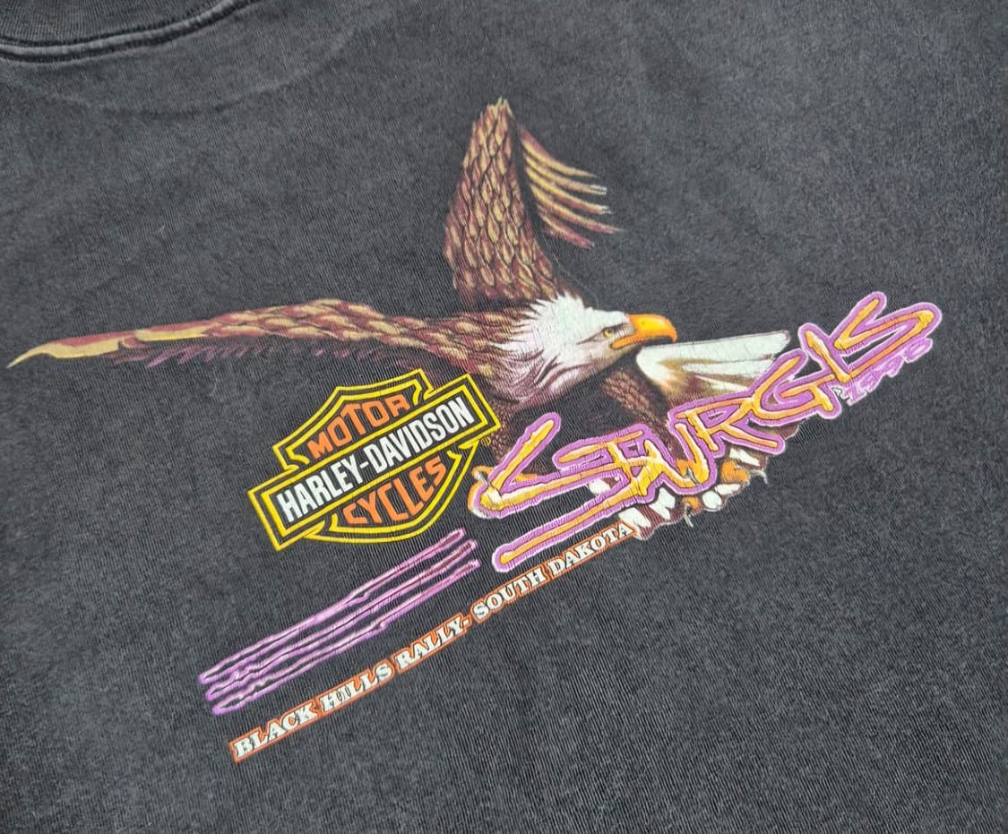 [XL]90s US Made 할리데이비슨 블랙 힐스 랠리 -720 상품이미지4