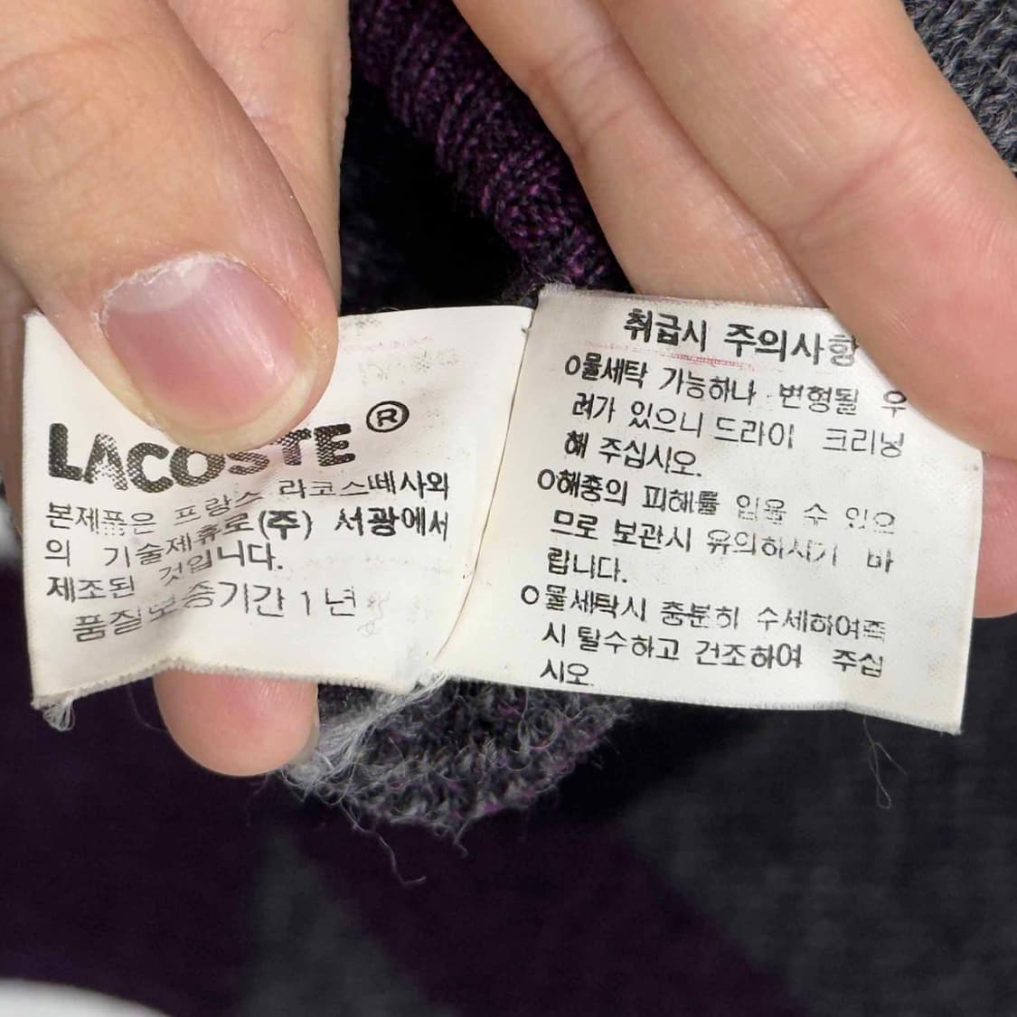 서광 라코스테 아가일 울 니트 상품이미지6