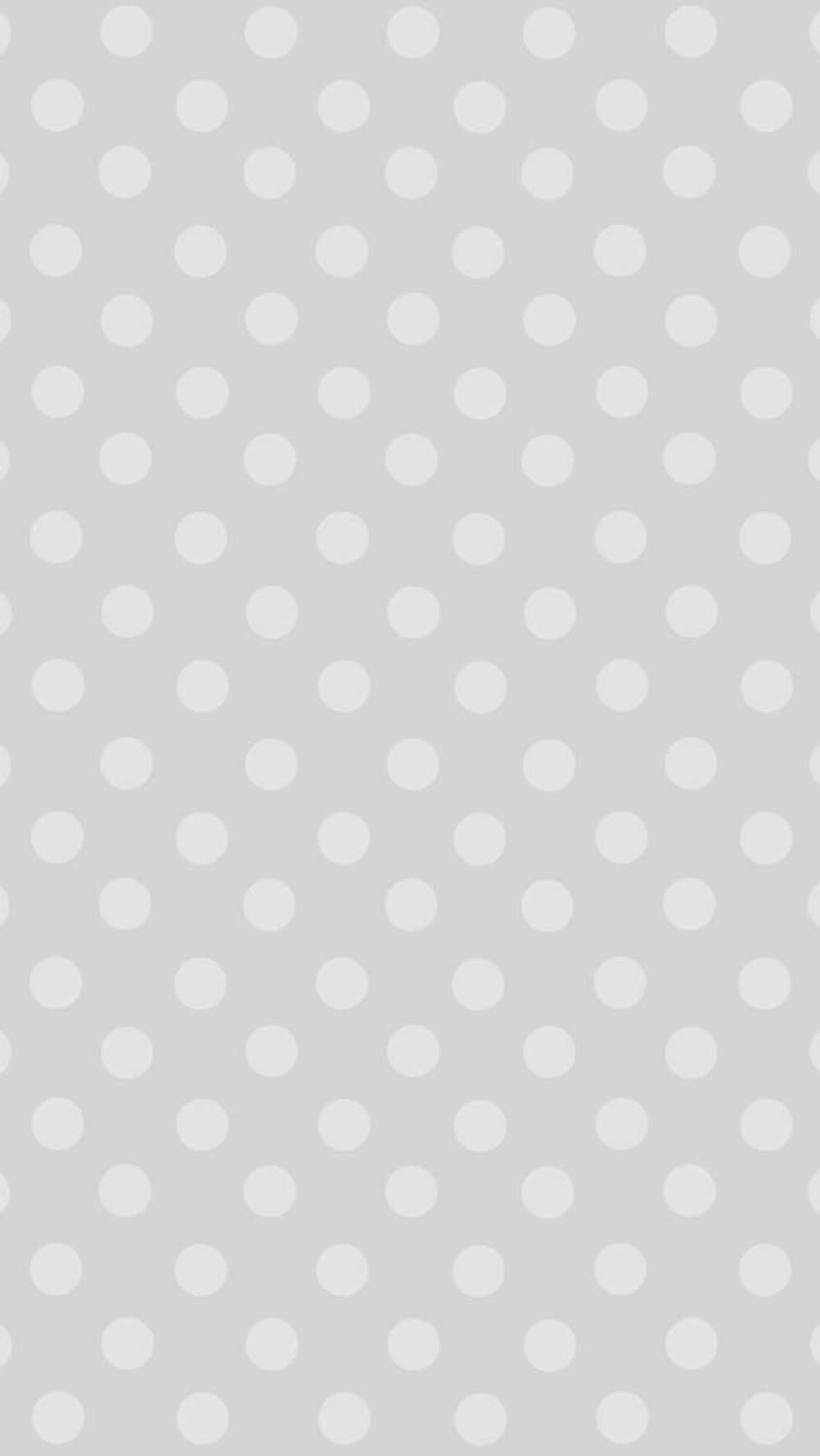 아키텍트 플리마켓 대리구매 구해요 상품이미지1