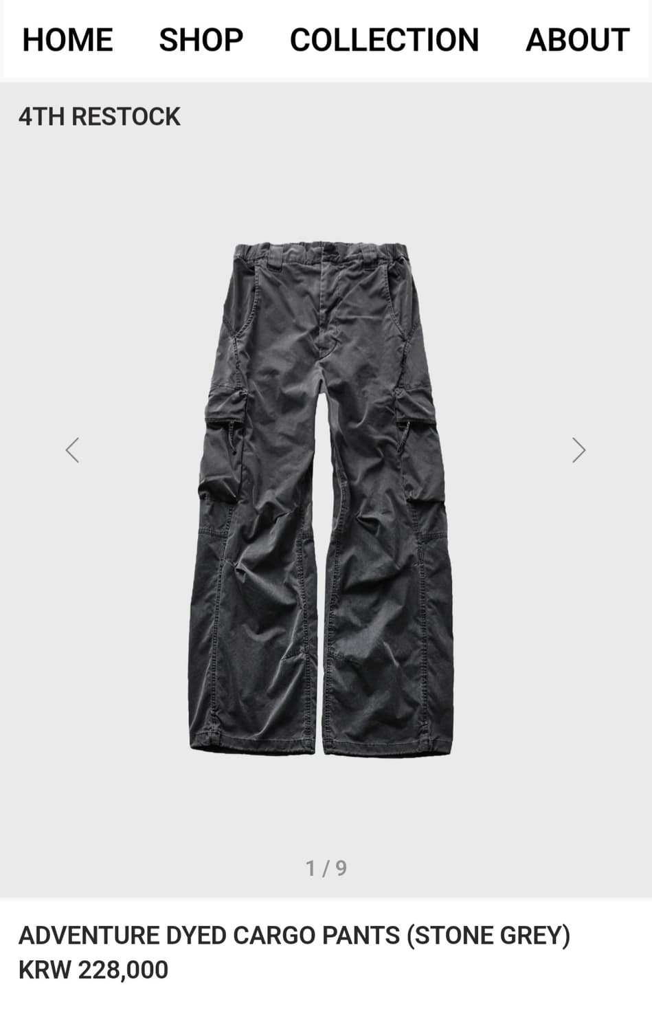 ADVENTURE DYED CARGO PANTS (STONE GREY) 상품이미지1