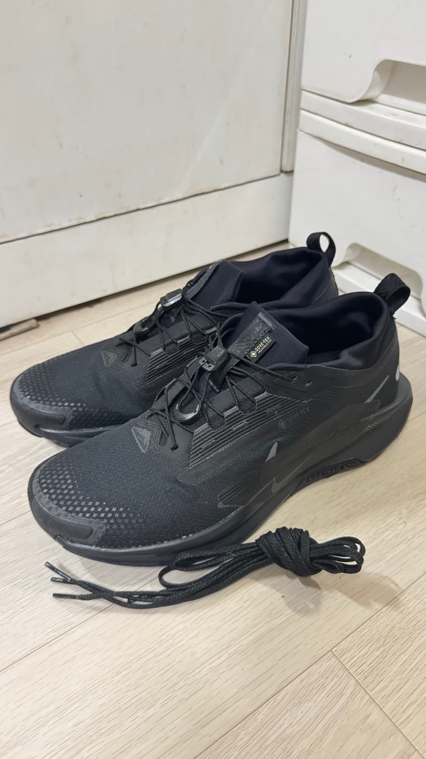 나이키 페가수스 트레일 5 고어텍스 블랙 280mm 상품이미지1