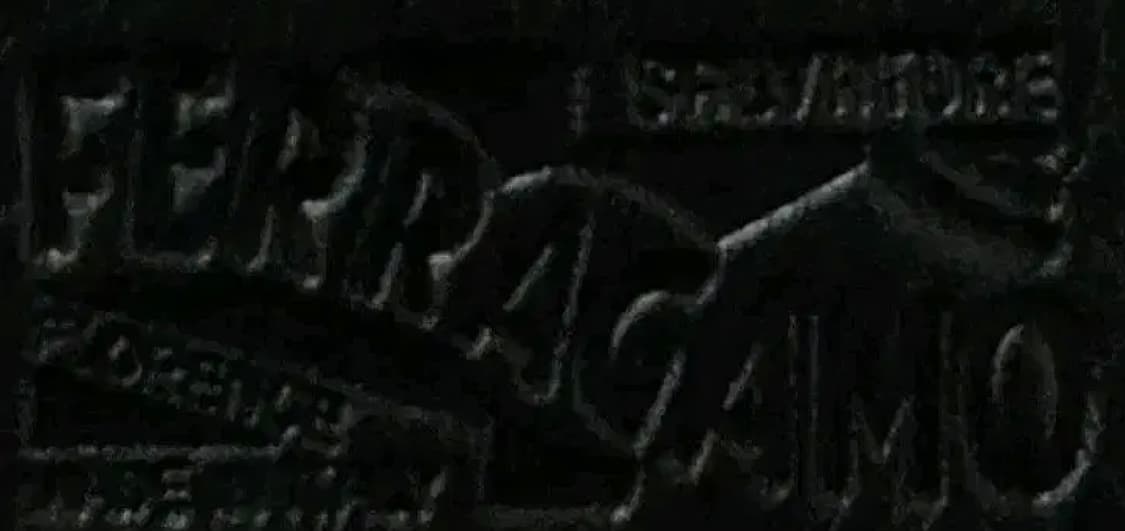 백화점 정품 살바토레 페라가모 여권 지갑 상품이미지3