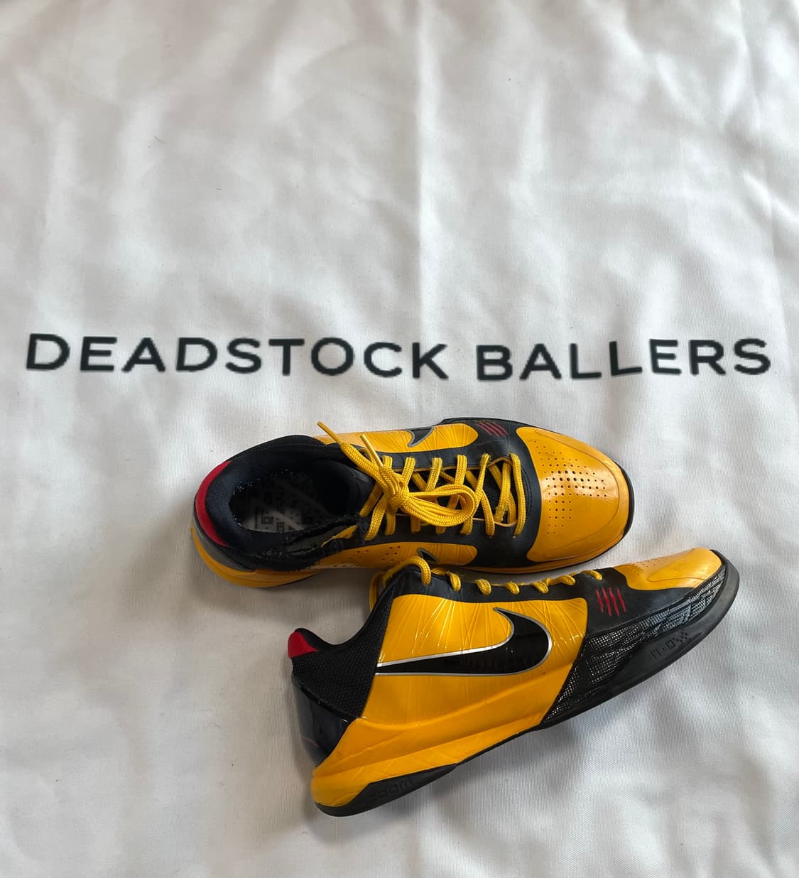 코비5 프로트로 부루스리 상품이미지1