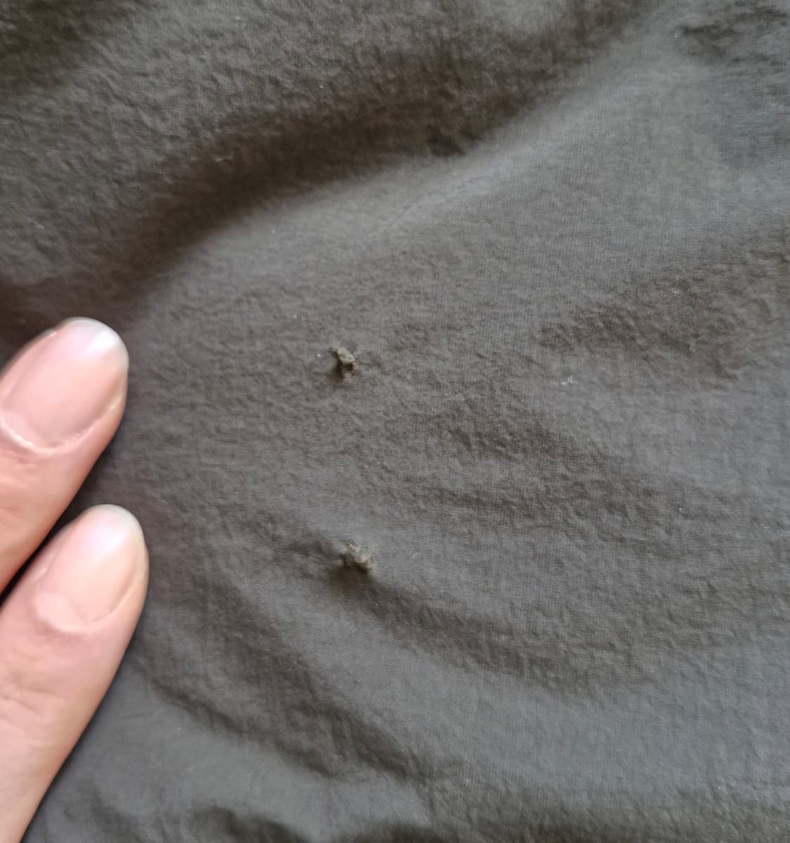 에스피오나지 다이어 후디드 다운 파카 XL  상품이미지7