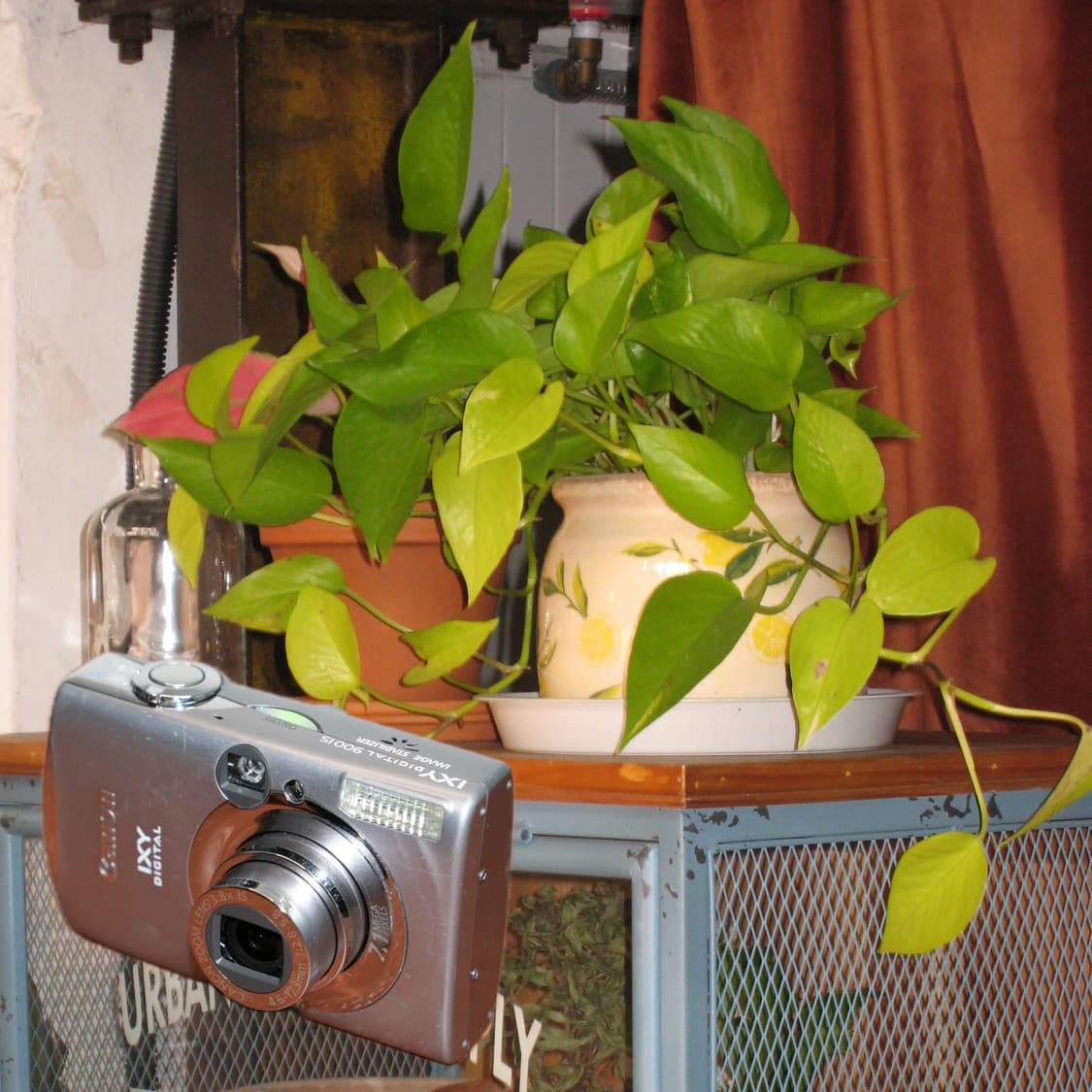 Canon Ixy 900(✨A급/🎁풀패키지) 상품이미지6