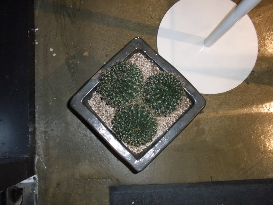 올림푸스 뮤1060 화이트 빈티지디카 상품이미지10