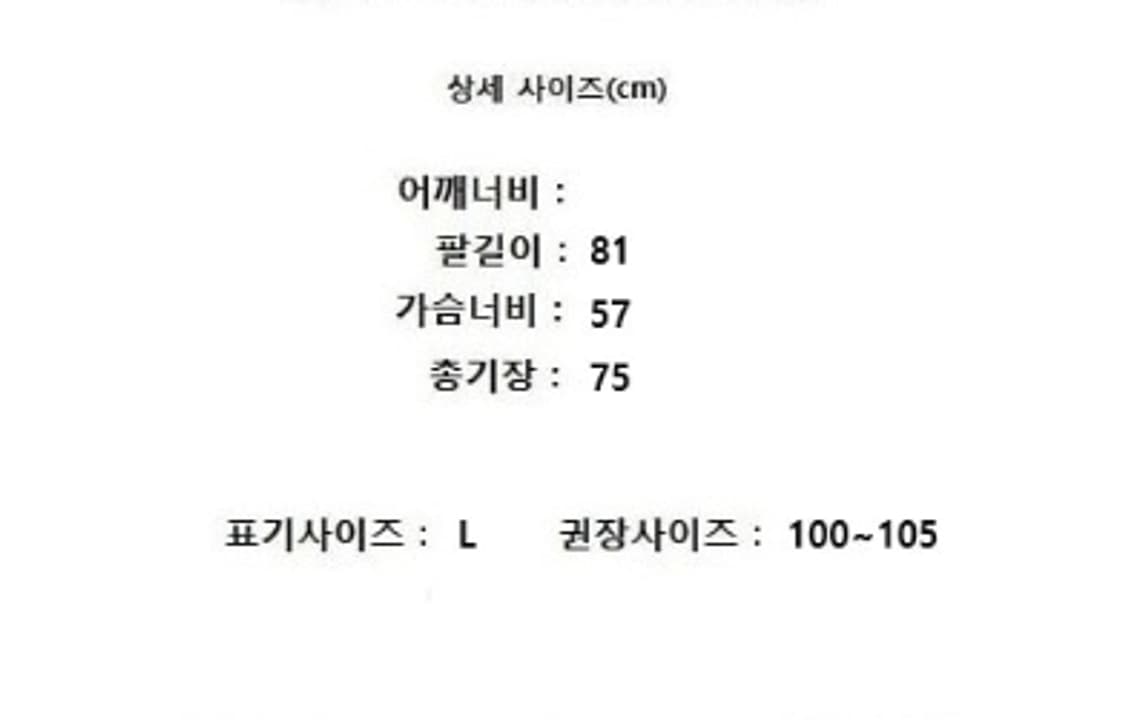 carhartt 칼하트 상품이미지9