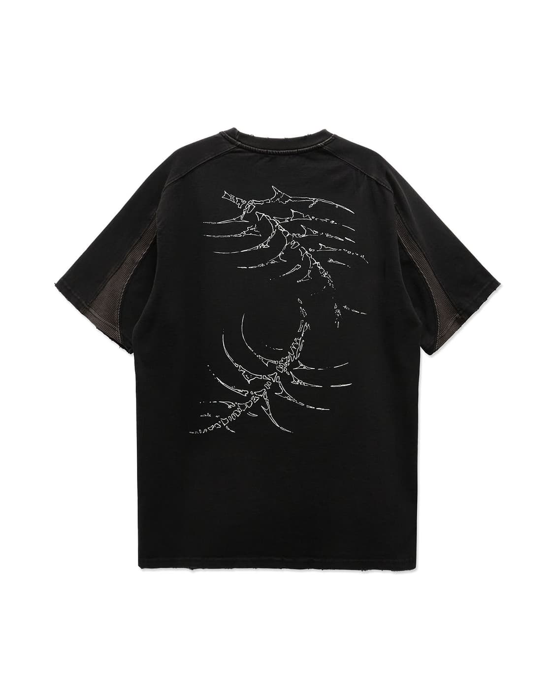 ignota/core:12 fossil ss t 상품이미지1