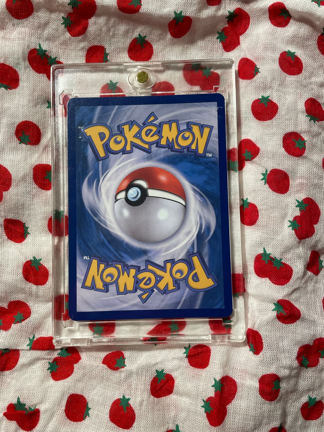 [SAR] 포켓몬카드 메가망나뇽 ex 상품이미지2