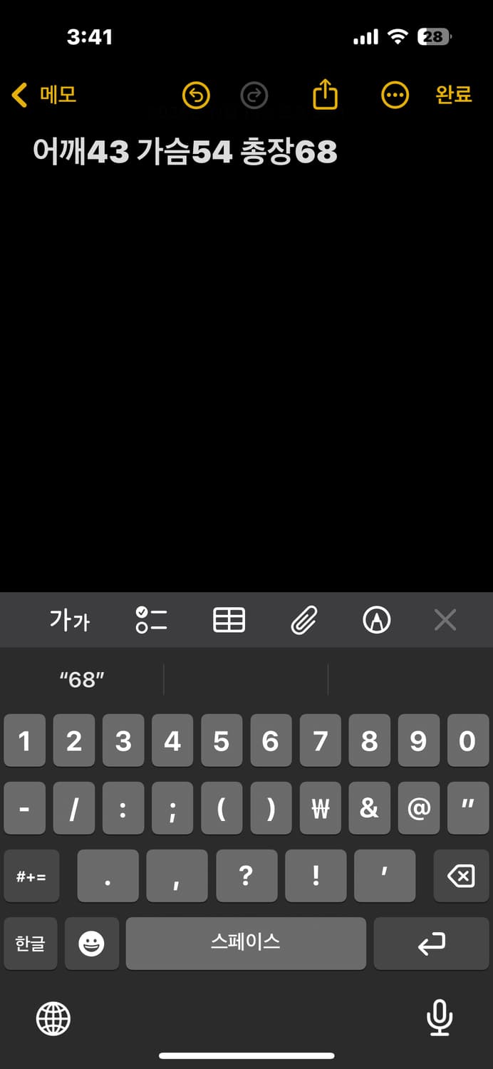 나이키 ACG 패딩 조끼 상품이미지5