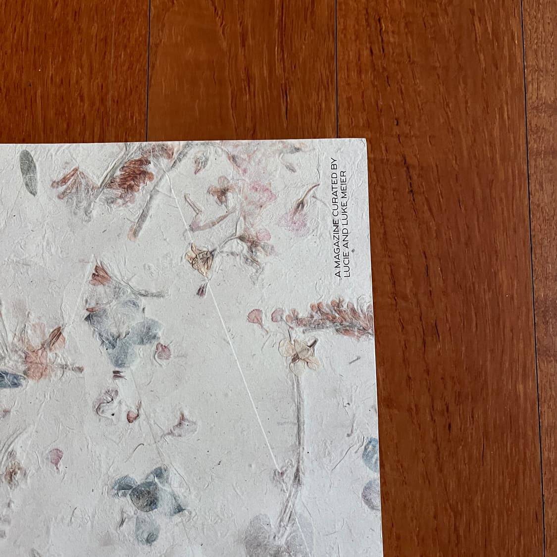 Jil sander & A Magazine / N°21 상품이미지9