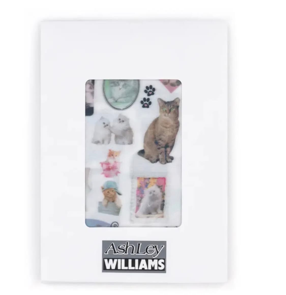 애슐리윌리엄스 캣 스타킹 상품이미지2