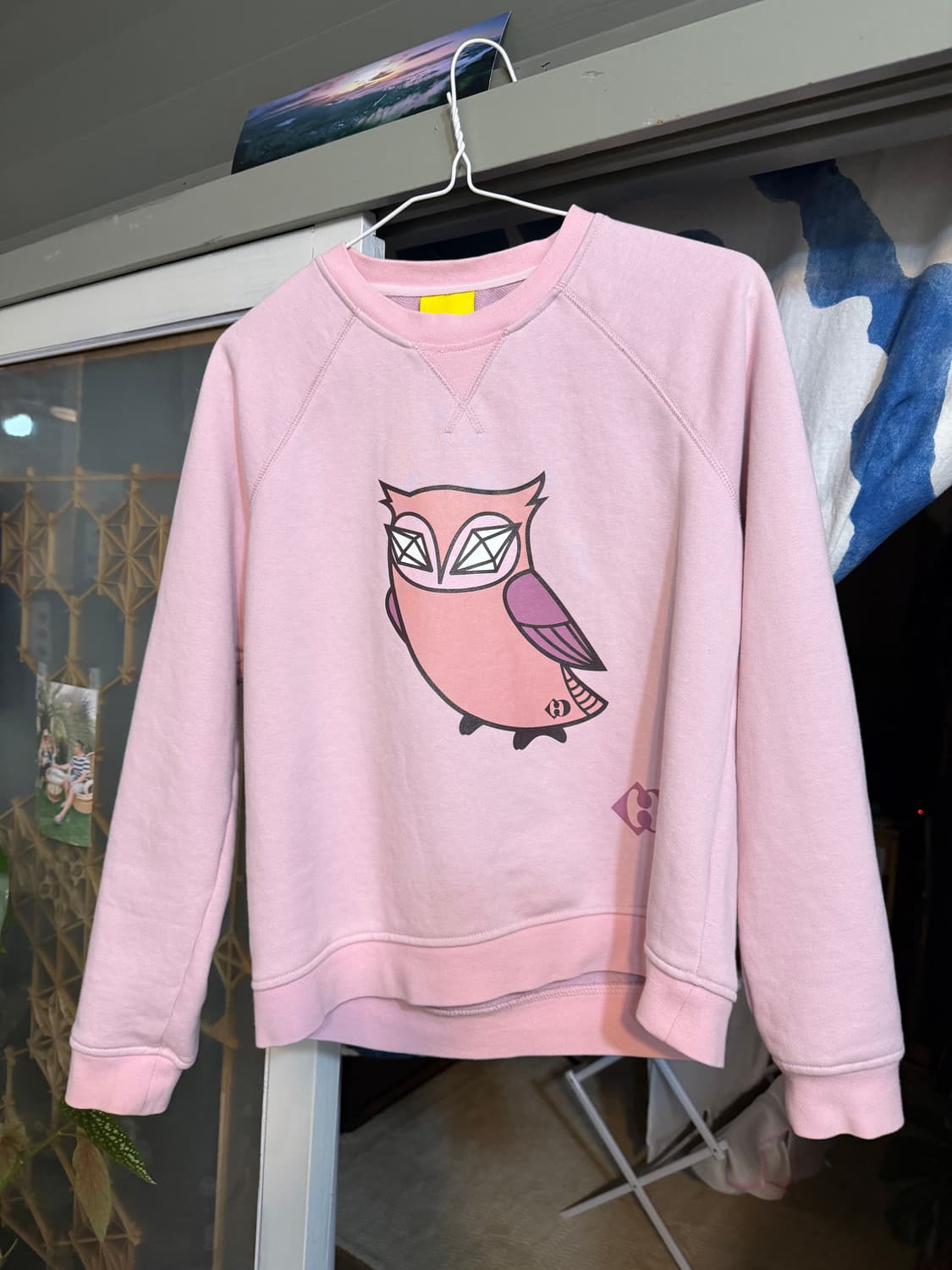 럭키슈에뜨 핑크 부엉이 스웻셔츠 상품이미지1