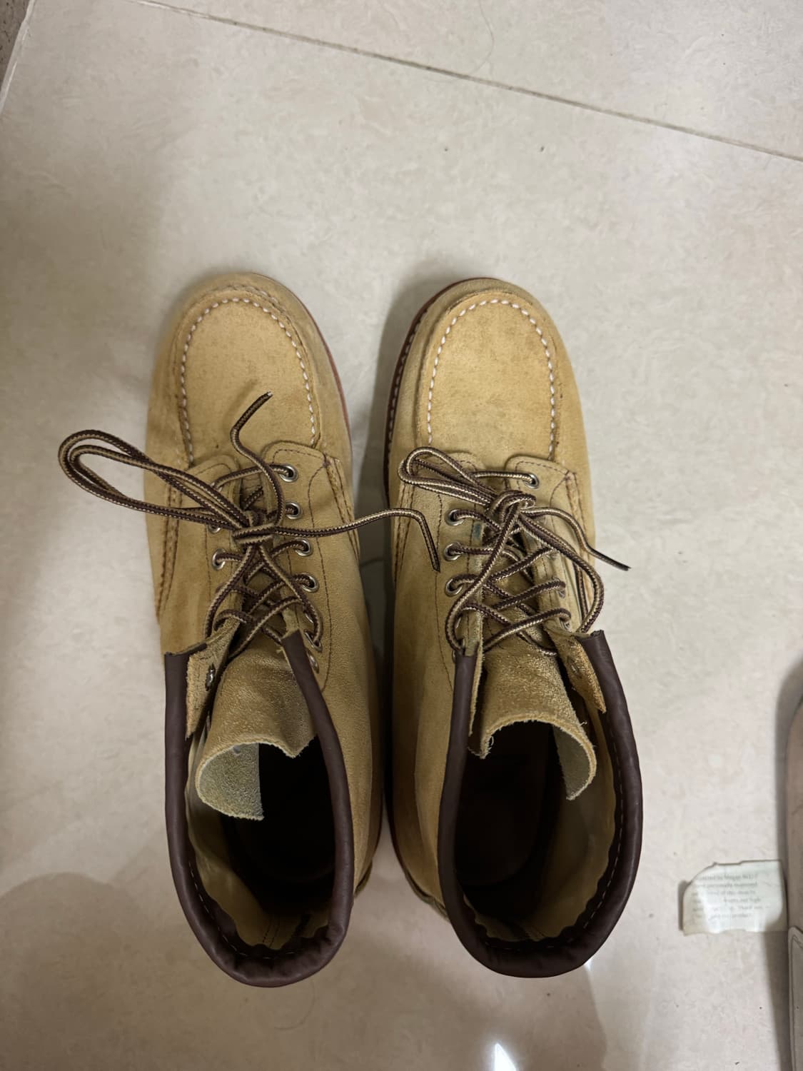 레드윙 목토 8833 280사이즈 상품이미지8