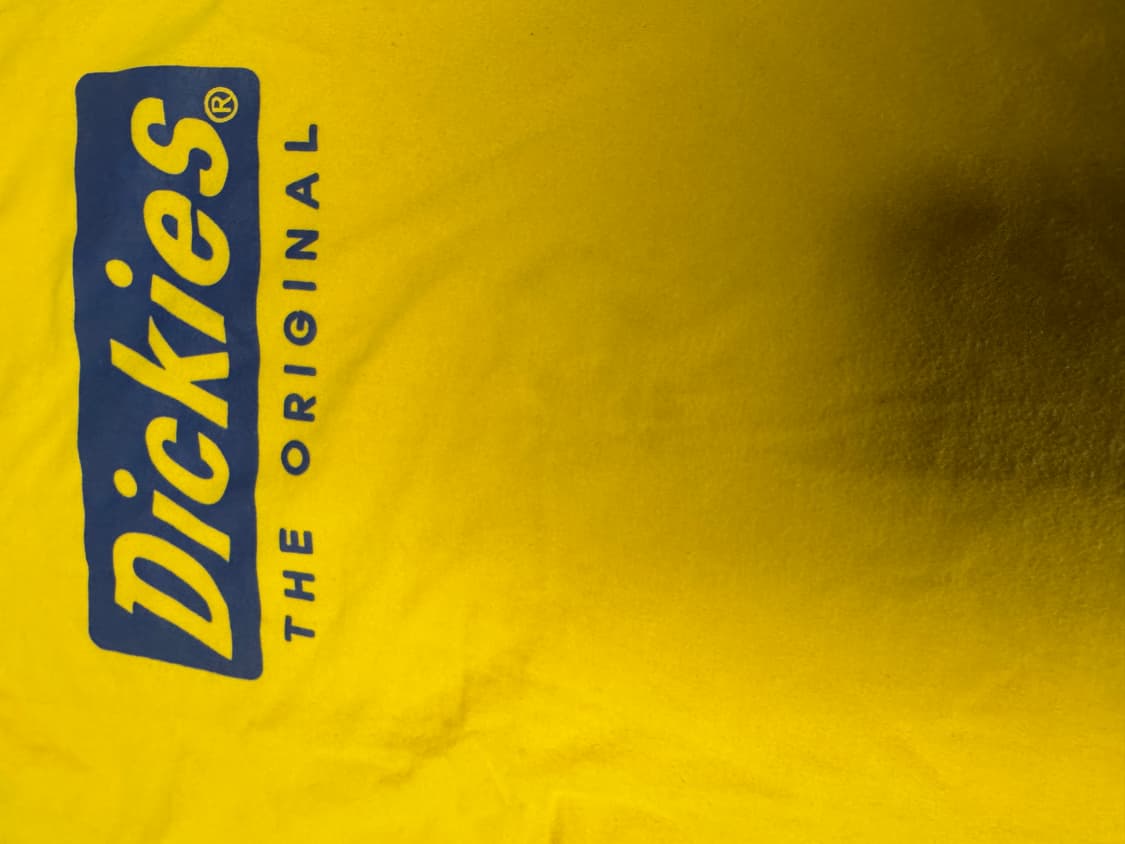 여성 디키즈 Dickies 박스 로고 반팔 티셔츠 S ~ M 상품이미지5