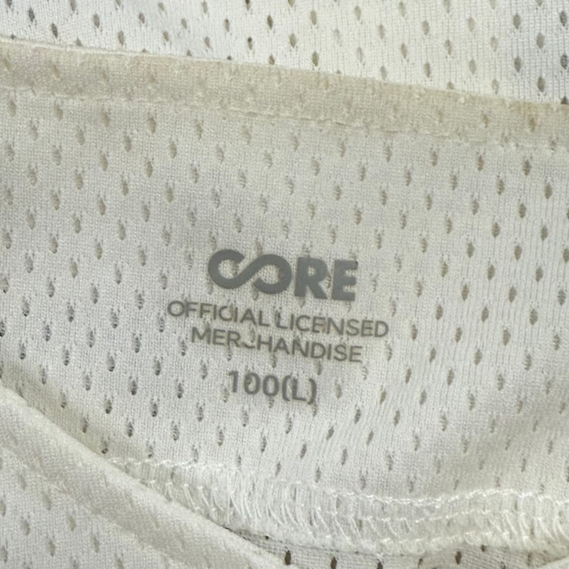 [100,L] 롯데자이언츠 34 김원중 마킹 유니폼 b17 상품이미지4