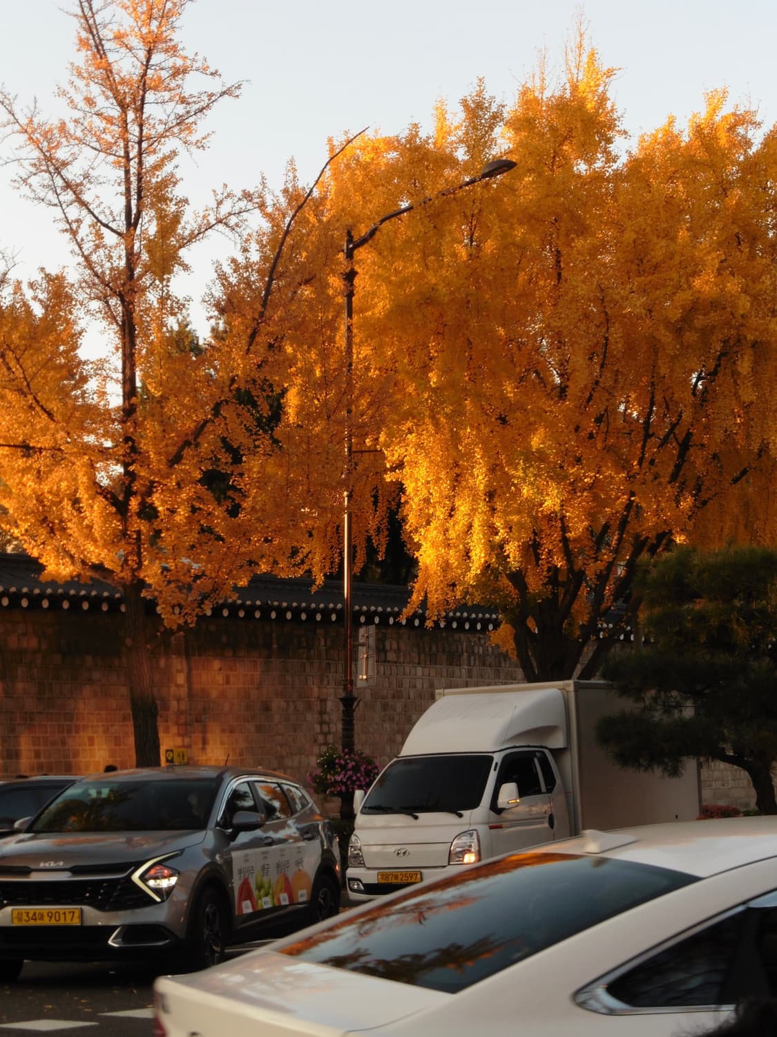 파나소닉 루믹스 DMC-TZ56 상품이미지6