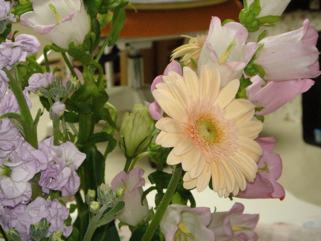 Sony cybershot m2 화이트 소니 사이버샷 m2 상품이미지10