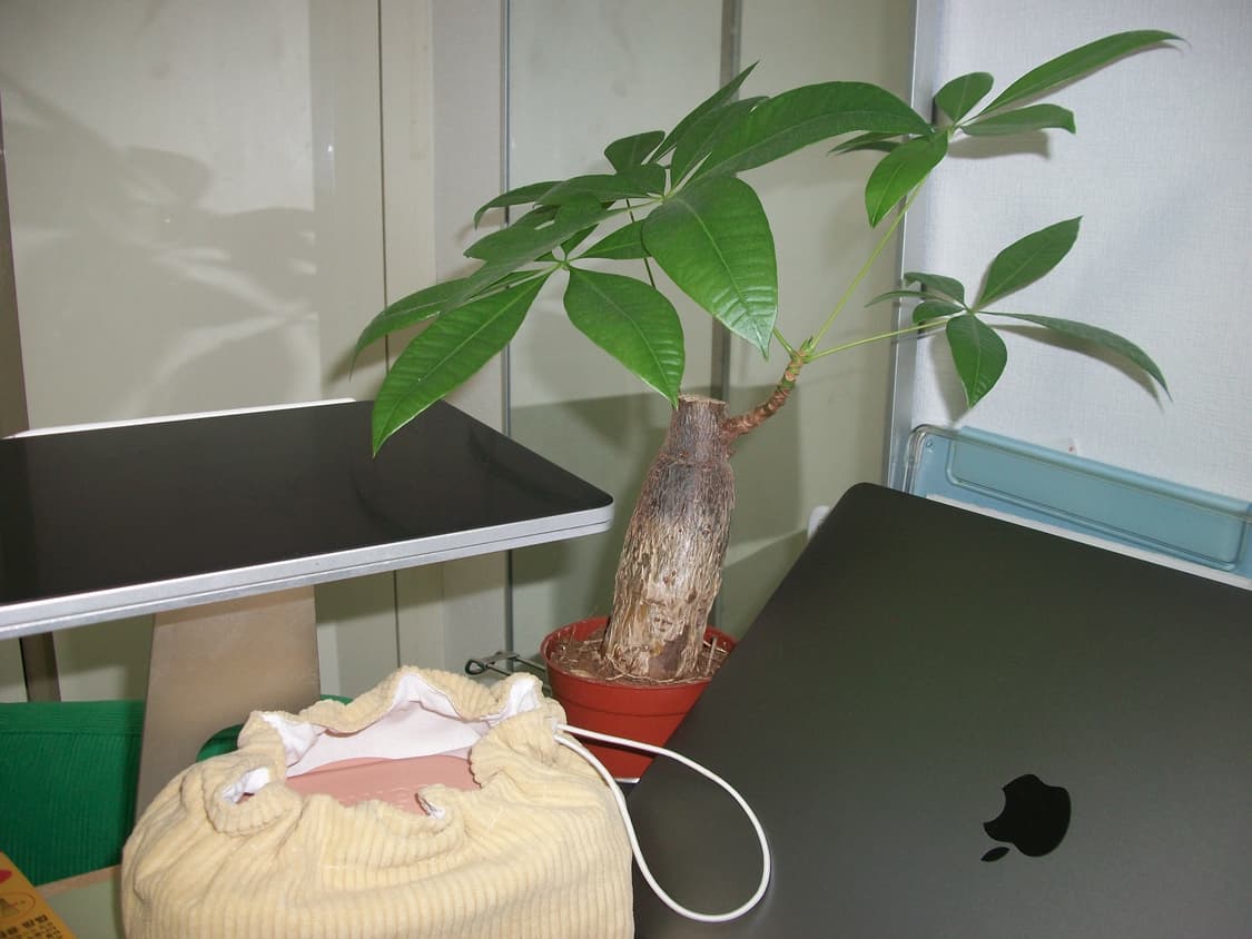 코닥 이지쉐어 C180 빈티지 디지털카메라 상품이미지9