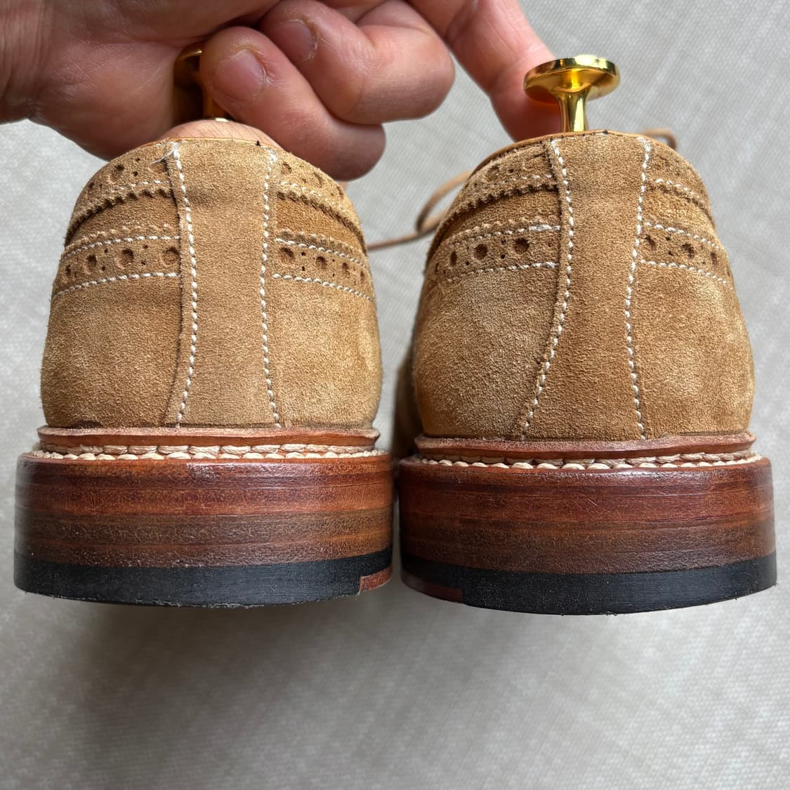 [255] Berwick 4794 카멜 스웨이드 브로그 윙팁 상품이미지4