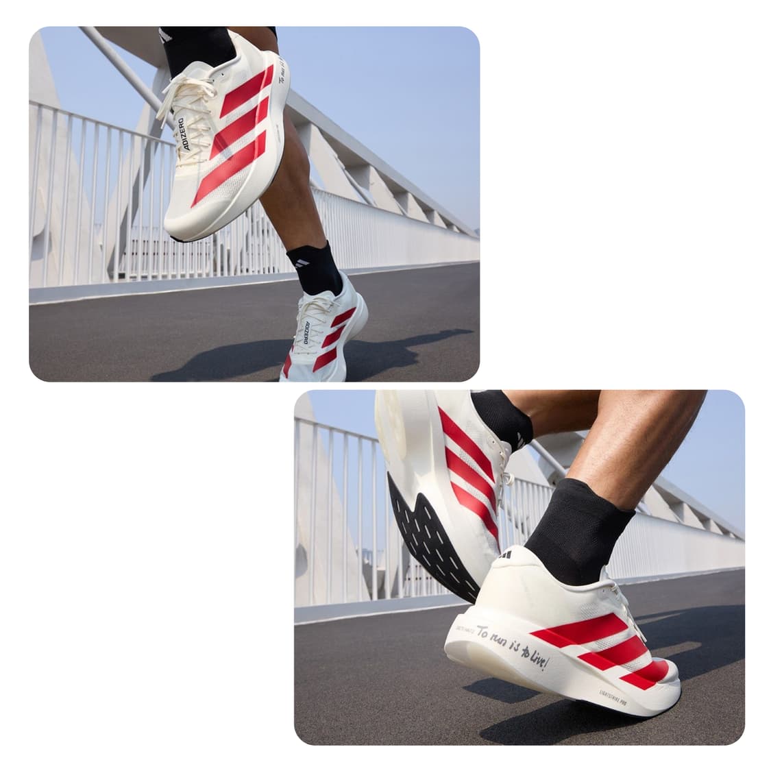 아디다스 / 아디제로 EVO SL 에보슬 / 280 상품이미지9