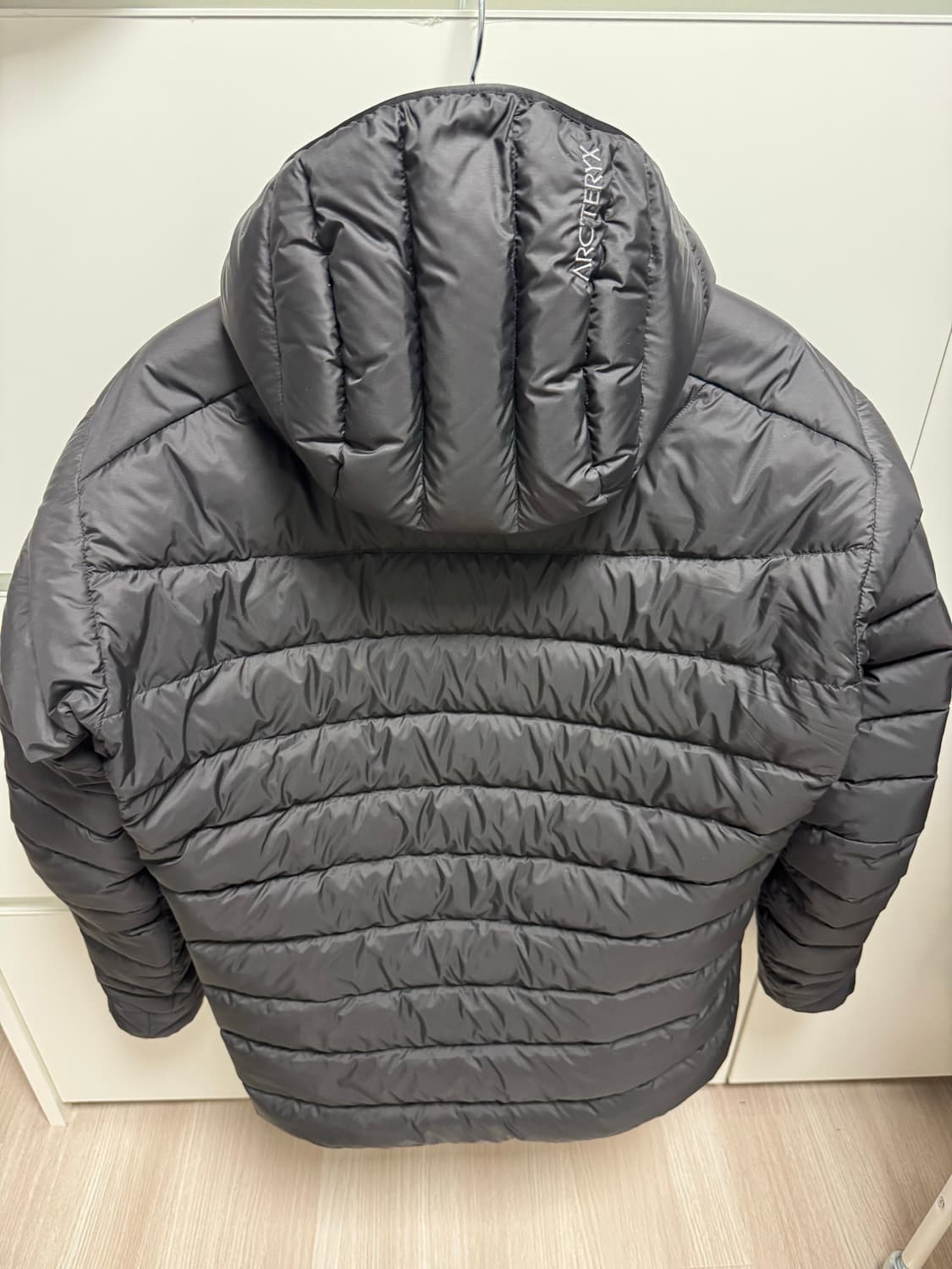 아크테릭스 24fw 세륨후디(M) 상품이미지2