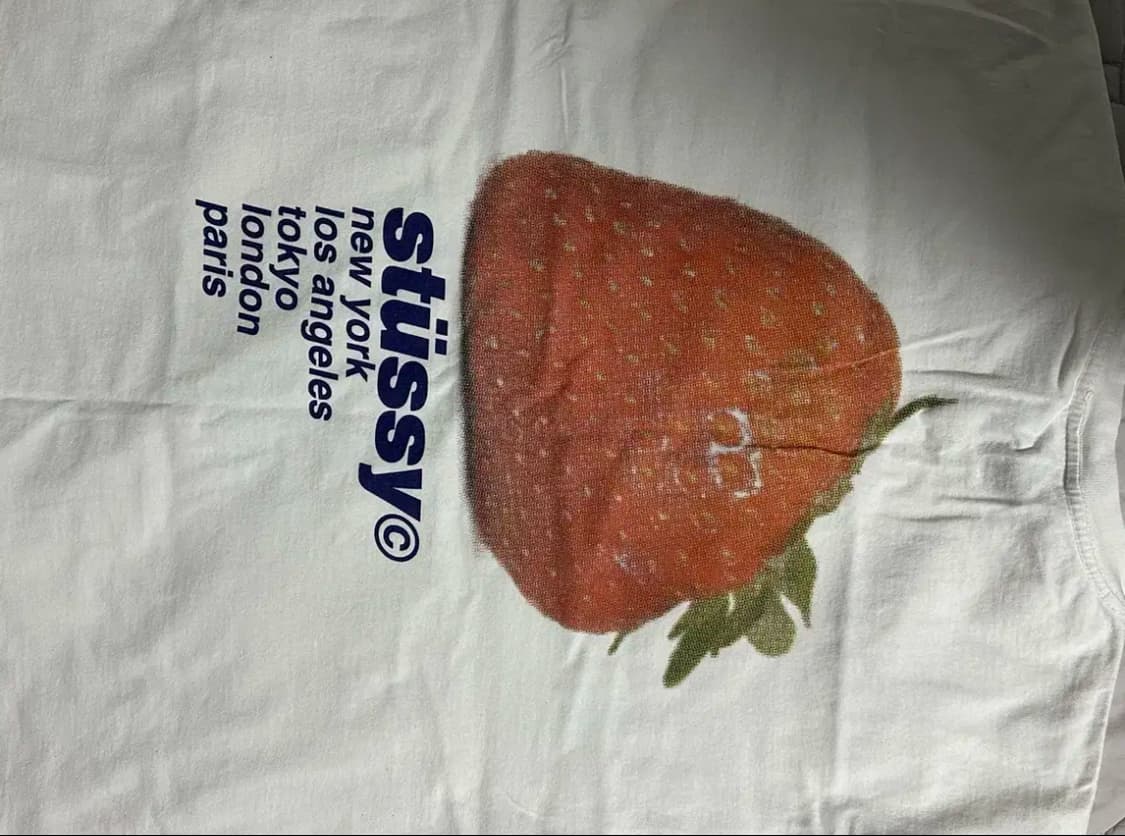 스투시 딸기 티셔츠 L 상품이미지2