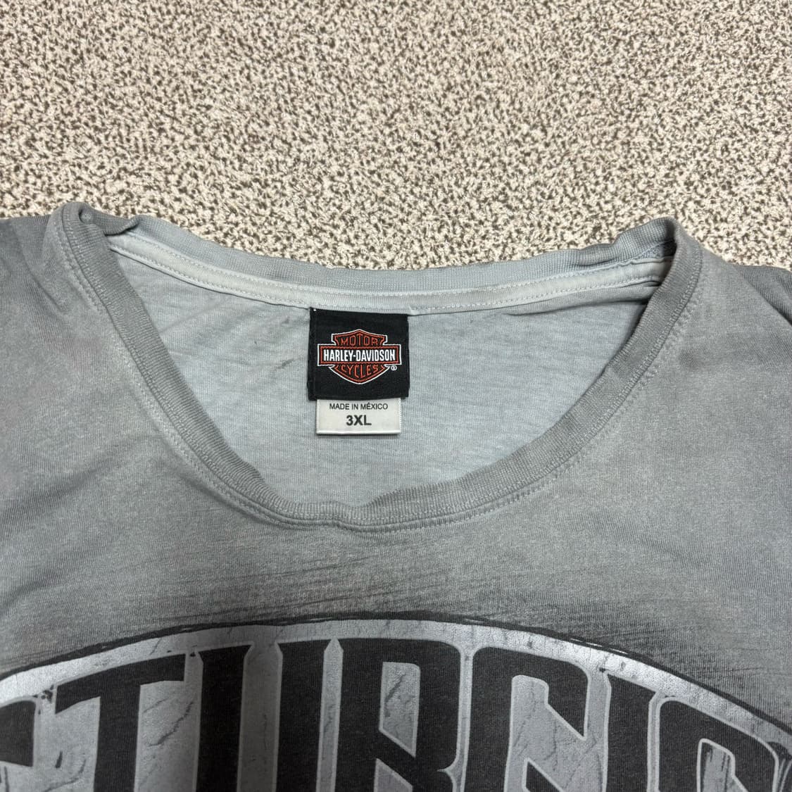 [3XL,택포] Harley Davidson 할리 데이비슨 반팔 [A+] 상품이미지2