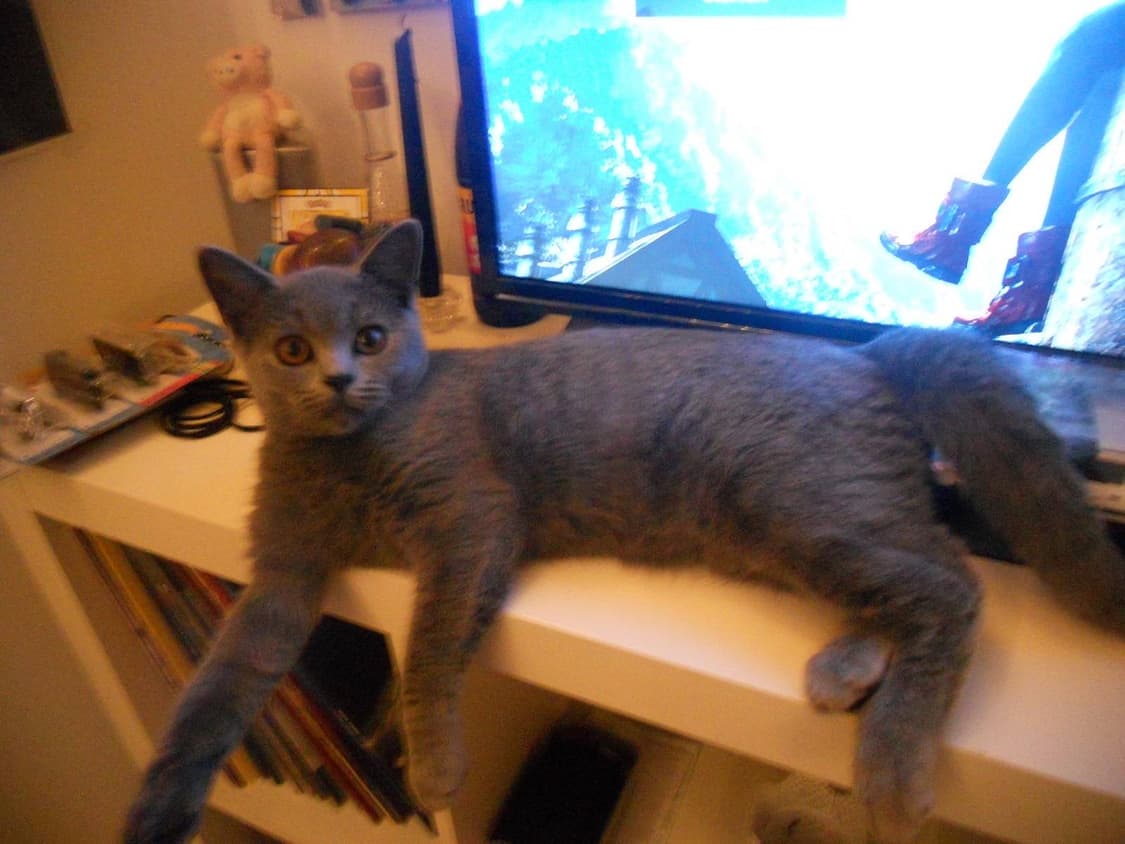 [에스파픽&뽀용!] 니콘 Coolpix S3300 골드 디지털카메라 상품이미지8